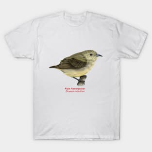 Plain Flowerpecker | Dicaeum minullum T-Shirt